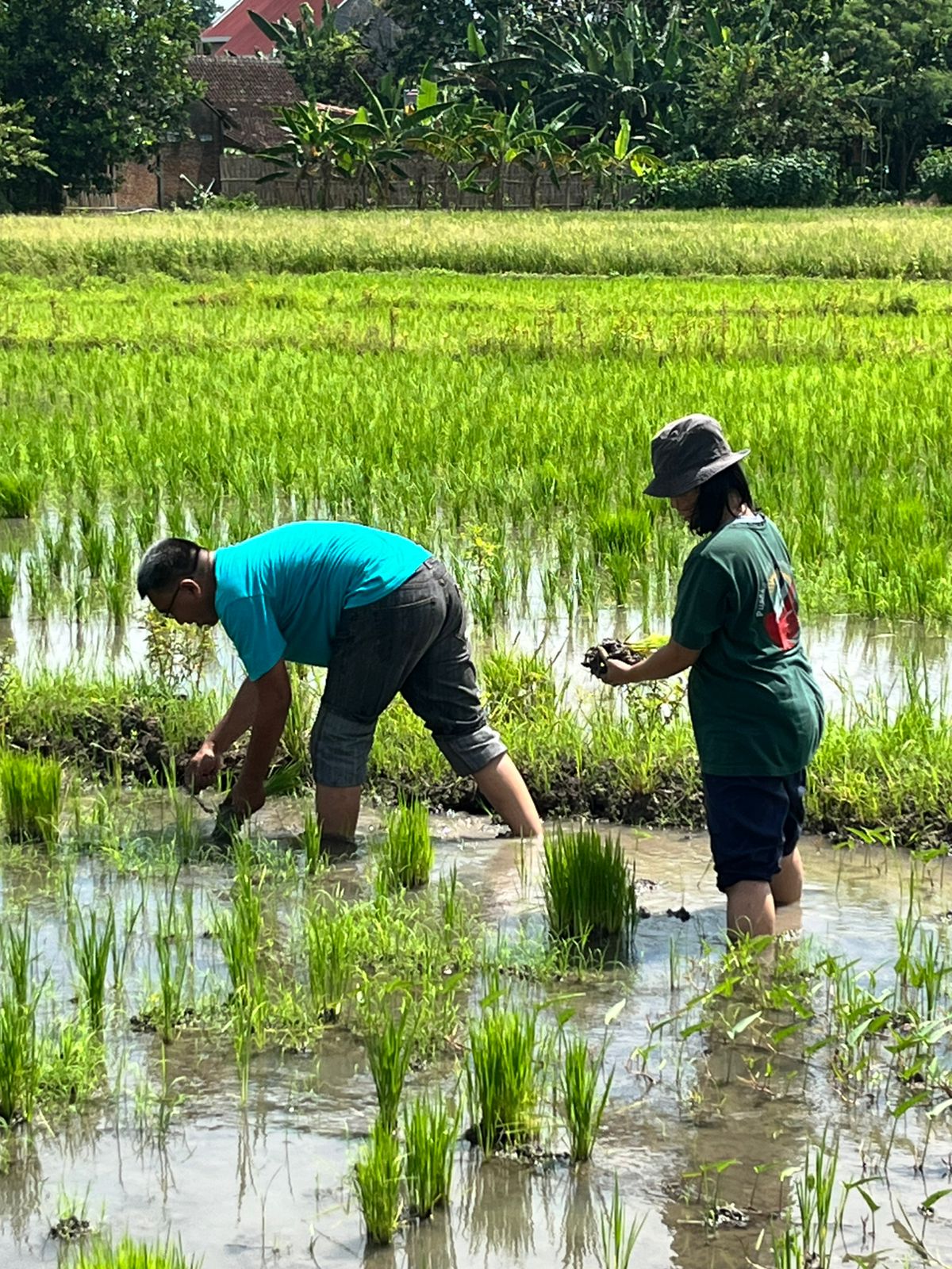 PT. Dewantoro Global Investama