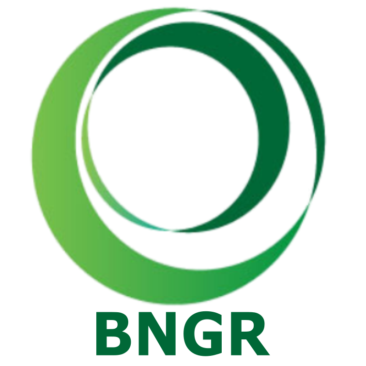 BNGR Logo
